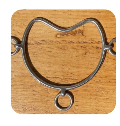 Equestrian chifney - equestrian,