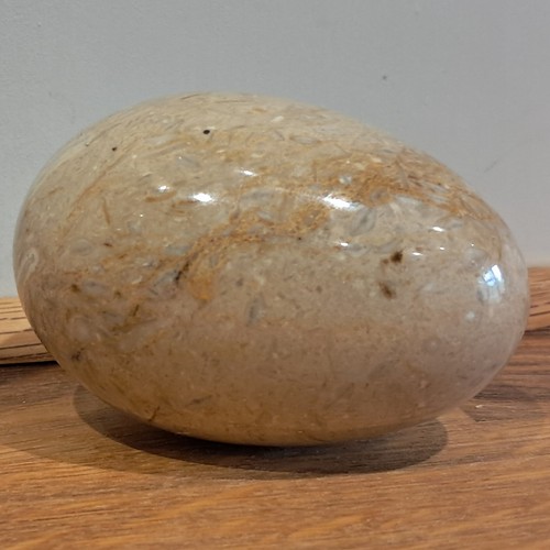 Polished fossil stone egg - fossil,