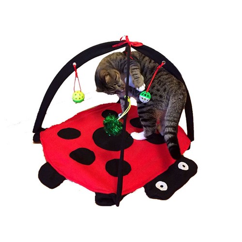 Cat interactive toys - cat, hanging