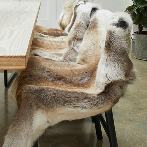 Xlarge premium reindeer - reindeer, hide