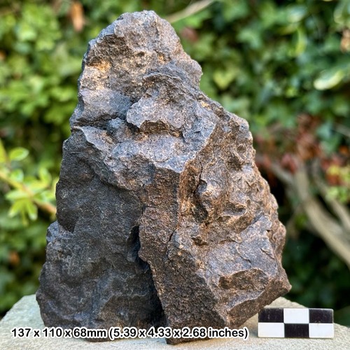 Huge common chondrite - huge,