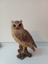 Vivid Arts Long Eared Owl Sat