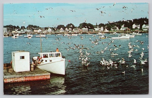Postcard fishing boats - fishing,