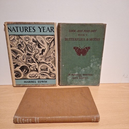 Vintage nature - vintage,