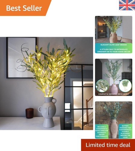 65cm decorative olive - x,