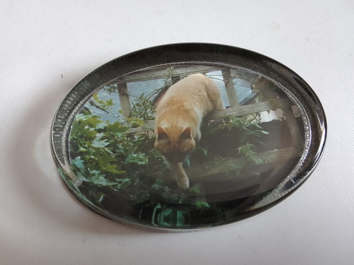 Paperweight ginger cat flat - paperweight.,