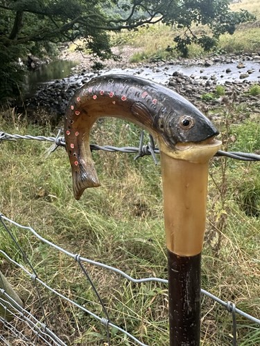 Rams horn walking stick - horn, as