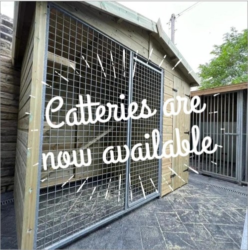 Cattery 4ft by - cattery, benchmark
