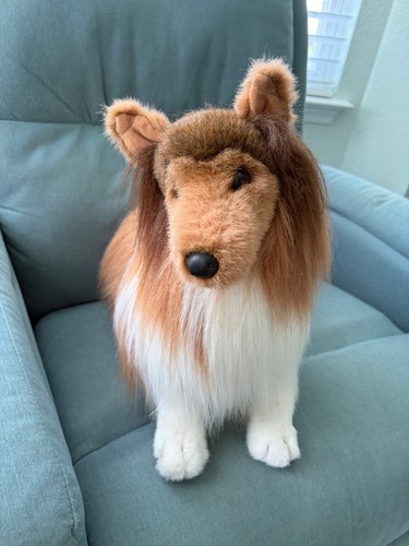 Douglas dixie sheltie - douglas, dog
