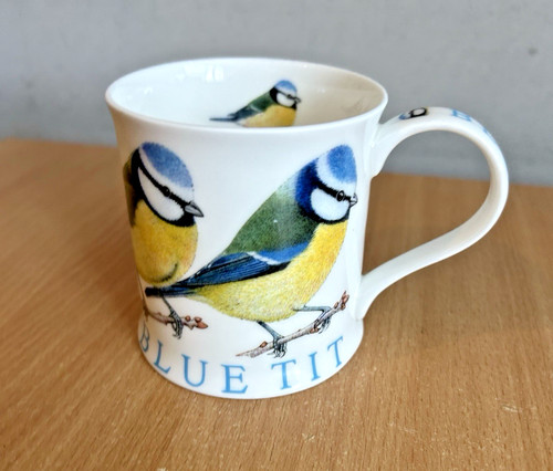 Dunoon blue tit - tit, birds