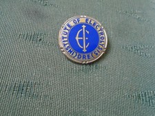 VINTAGE DRE INSTITUTE OF ELECTROLYSIS DIPLOMA OF REMEDIAL SKINCARE ENAMEL BADGE