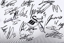 Football - Swansea City - Hand