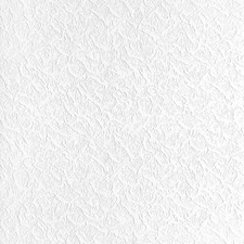 White Paintable Embossed