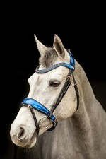 Equipride Anatomical Bridle