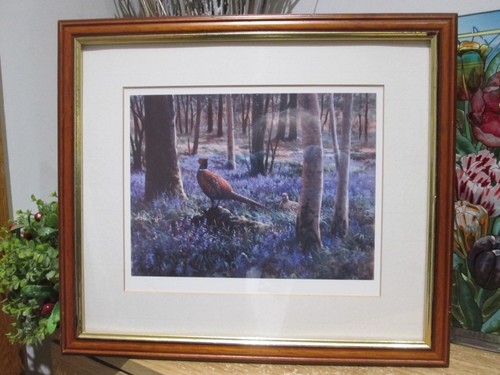 Beautiful bluebells and - beautiful,