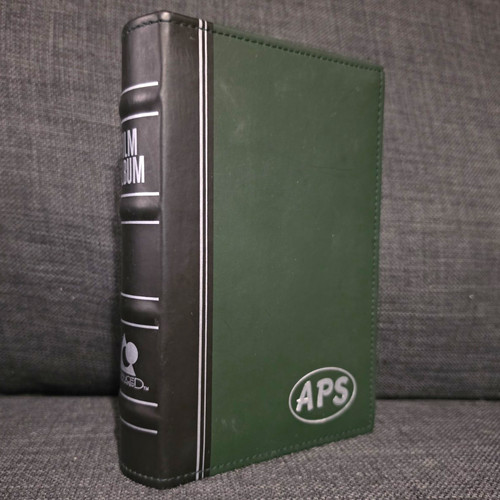 Aps advanced photo - advanced, system