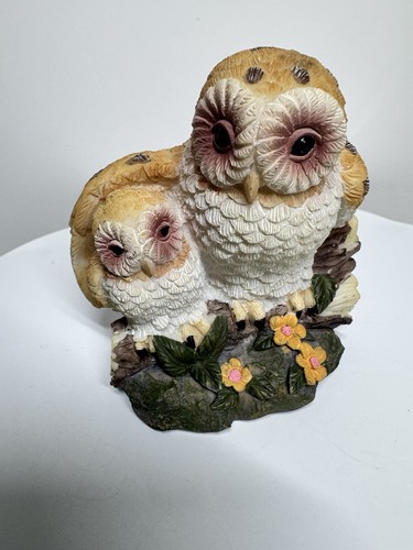 Beautiful owl owlet - beautiful,