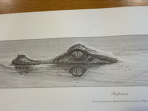 Gary hodges limited - limited, edition