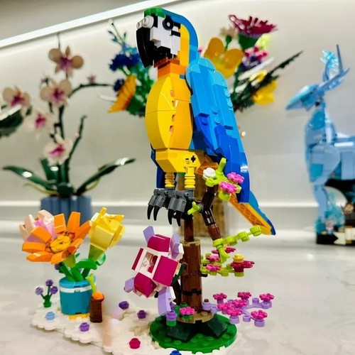 Exotic parrot 253 - exotic,