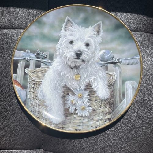 Dog westy porcelain plate paul - westy,