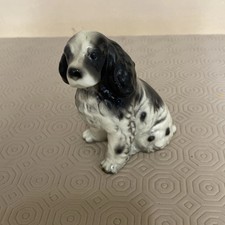 Vintage English Springer