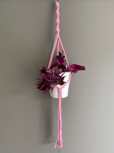 Macrame plant hanger pink - plant,