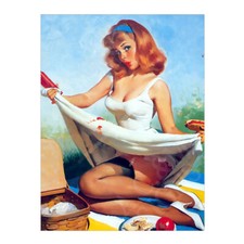 Pin Up Girl Picnic Metal Sign Plaque Man Cave Bar Shed Work Shop Garage 613
