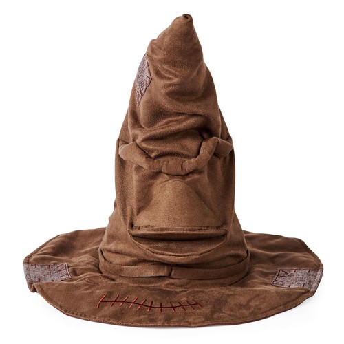 Harry potter wizarding world - harry,