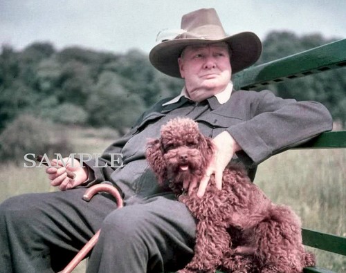 Winston churchill later - in,