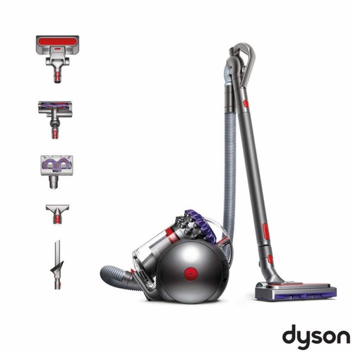 Dyson big ball - animal, 2