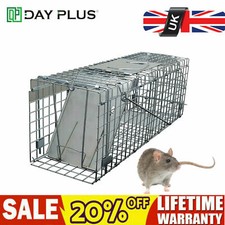 Extra large rat squirrel - extra,