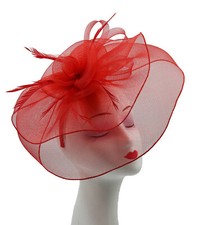 LARGE Fascinator Feather