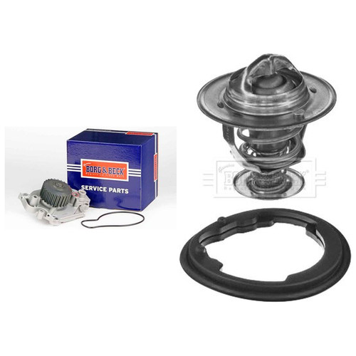 Borg beck water pump - pump, &