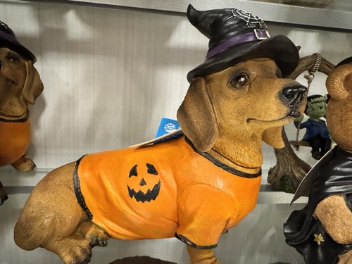 Doxie dog halloween themed - dog,