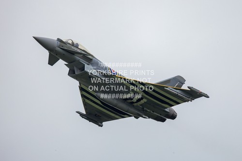 Raf typhoon photo print - typhoon,