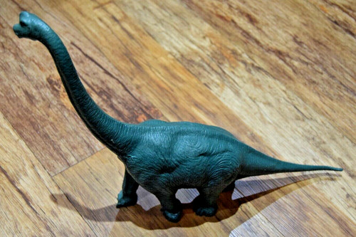 Vintage natural history museum - natural,