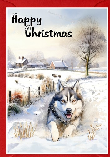 Siberian husky dog christmas - siberian,