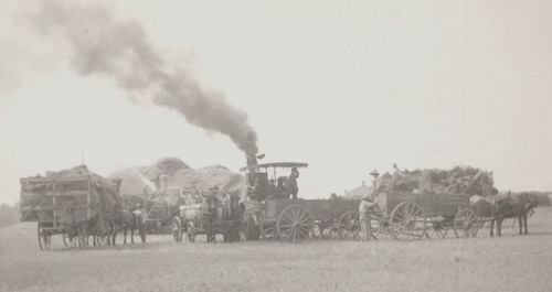Steam thresher hay - thresher, racks