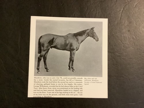 Manifesto photo horse racing - manifesto,