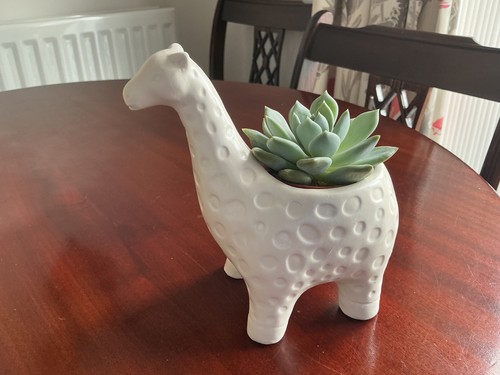 Alpaca ceramic pot plant - pot,