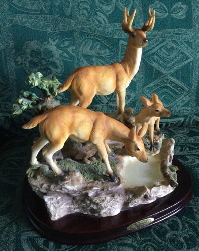 The canadian wilderness deer - the,