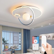 Ceiling Light Nursery Light
