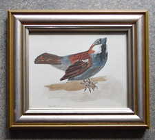 Chirpy Little House Sparrow. Nicholas Raison Original Bird Portrait