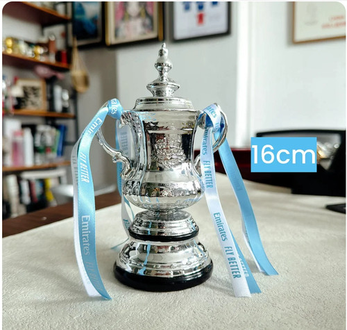 Cup trophy 16cm resin - trophy,
