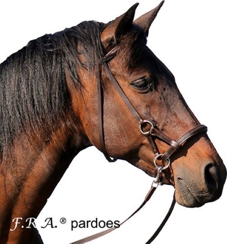 Pardoes side pull - pardoes,