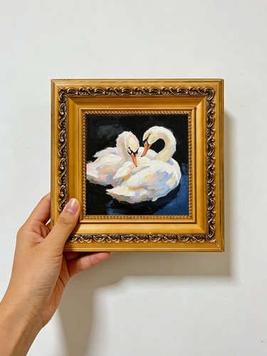 Romantic pair white swans - pair,