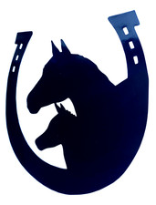 2x Horse Shoe Decal Vinyl