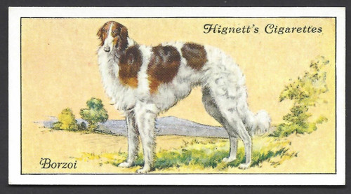 Hignett dogs 4 - hignett,