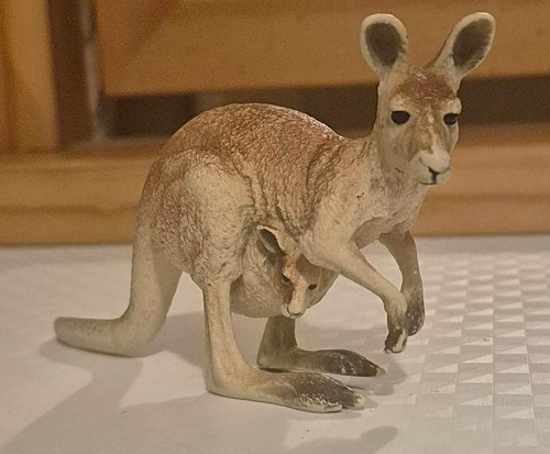 Kangaroo with joey - kangaroo,