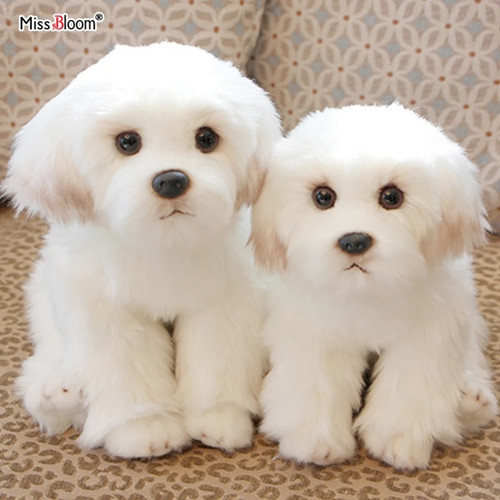 Maltese puppy plush toy - maltese,